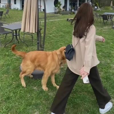 乱步奇谭